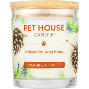 Pet House Candle Big - Evergreen Forest