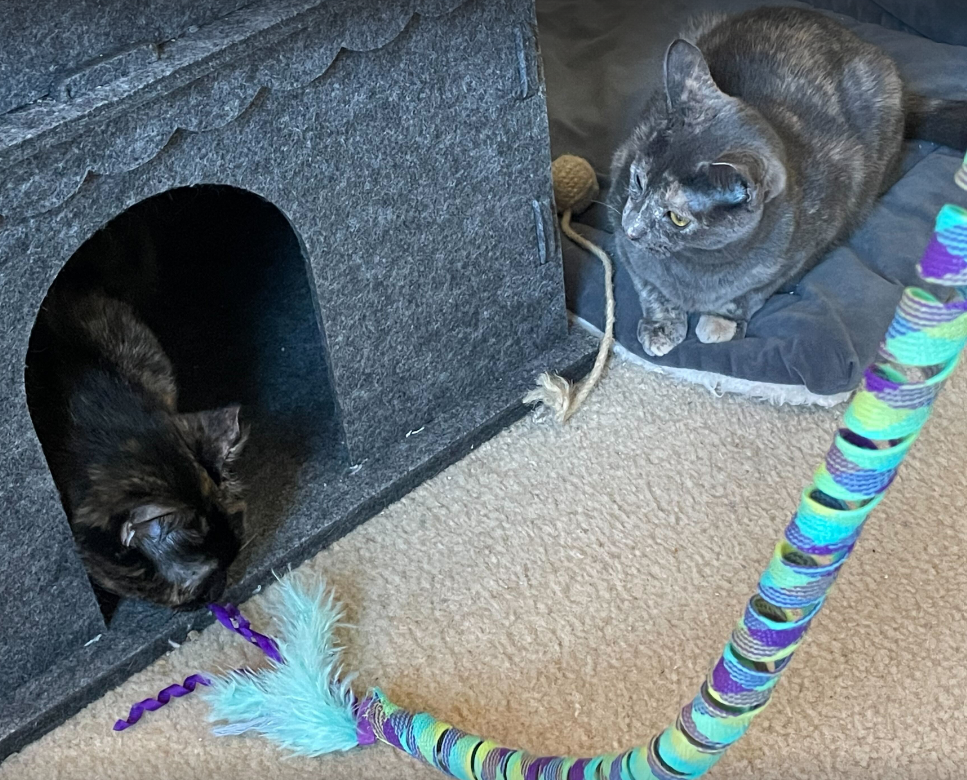 Screenshot 2026-02-28 224627